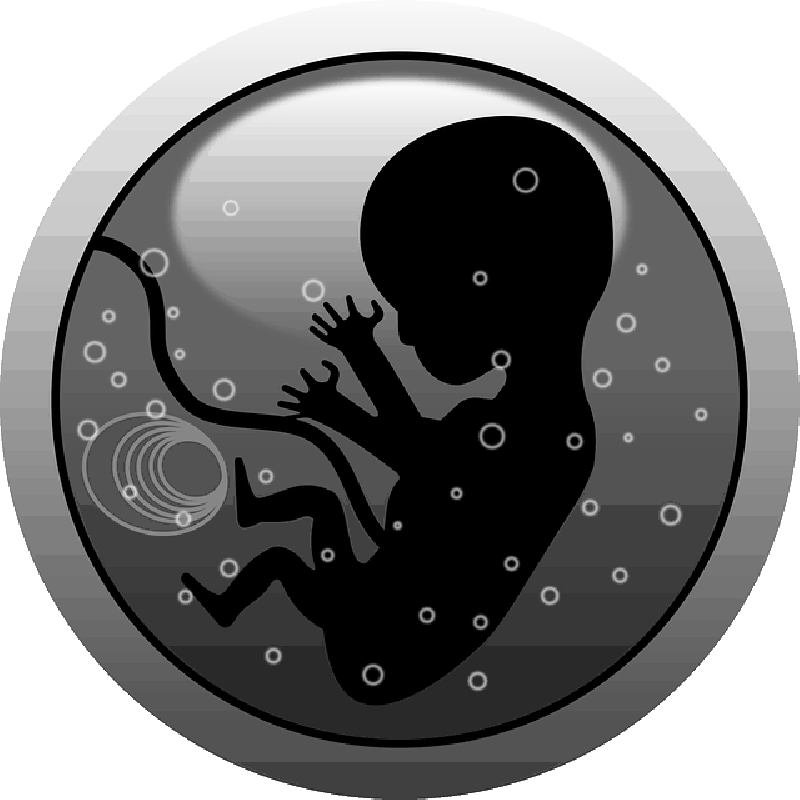 Mb Image/png - Baby On Board 60" Curtains (800x800), Png Download