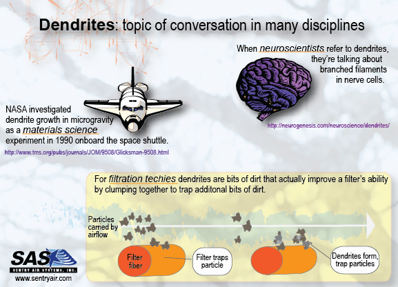 More - Right Brain Oval Ornament (577x416), Png Download