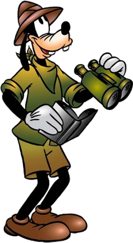 Clipart Online, Safari Png, Cartoon Images, Safari - Turma Do Mickey Safari (500x500), Png Download