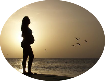 Pregnancy - Another Chance [book] (418x323), Png Download