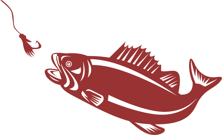 Largemouth Bass Fly Fishing For Beginners - Bass Fish Png (800x500), Png Download