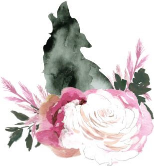 Bundle - Garden Roses (400x400), Png Download