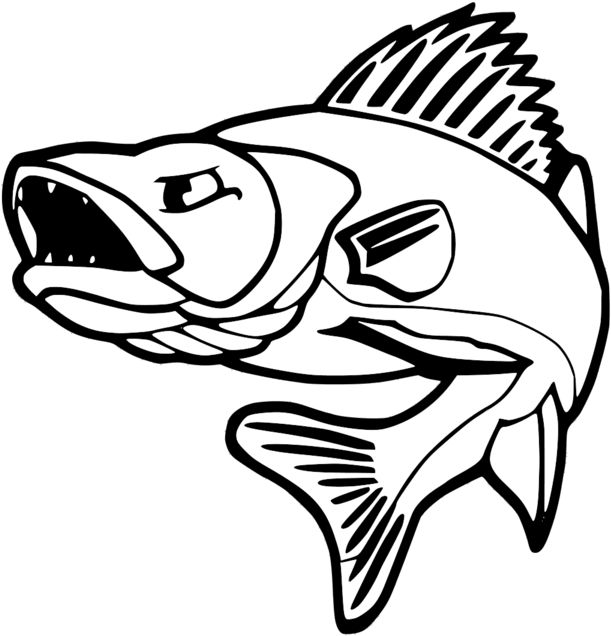 Vector Free Download At Getdrawings Com Free For Personal - Walleye Fishing (960x805), Png Download