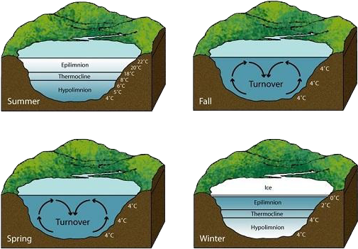 Lake Turnovere National Geographic Jpg - Do Fish Survive In Frozen Lakes (594x406), Png Download