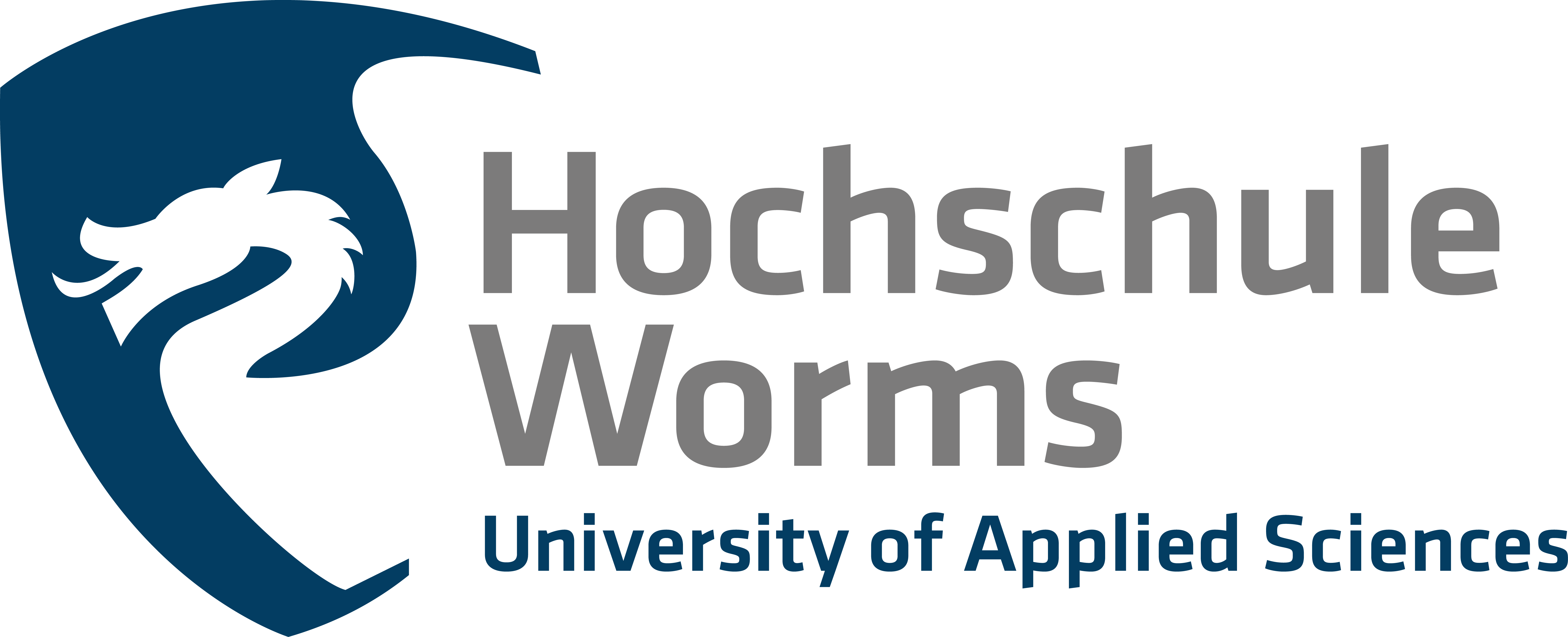 Logo Der Hochschule Worms - Worms University Logo (6362x2585), Png Download