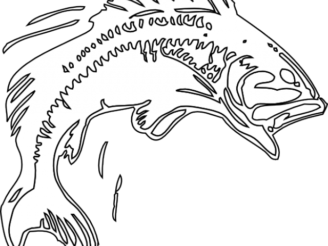Bass Fish Cliparts - Fish Images Black And White Bass (640x480), Png Download