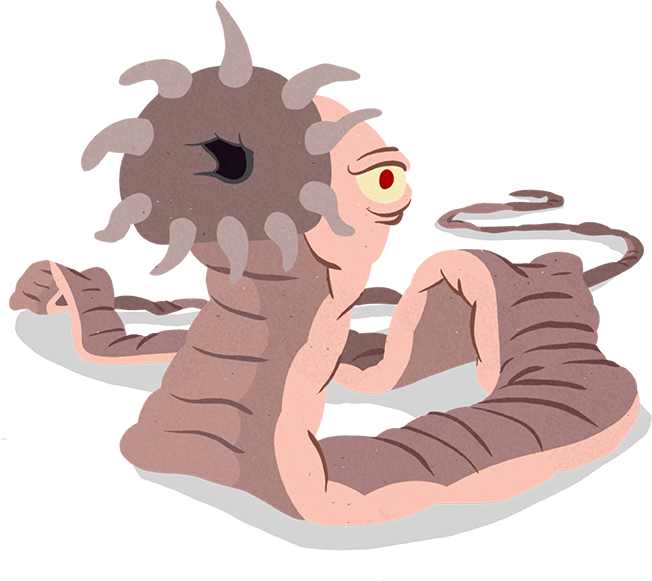 Worms Clipart Parasitic Worm - Toxocara Cati (652x581), Png Download