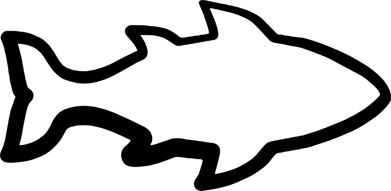 Kooziez - Fish Outline Transparent Background (804x393), Png Download