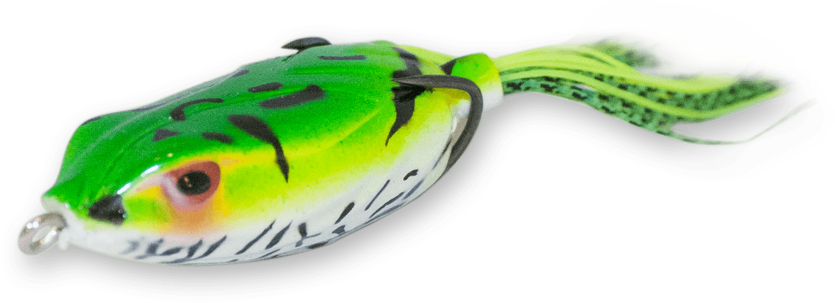 Leopard - Blowfish (2034x1023), Png Download