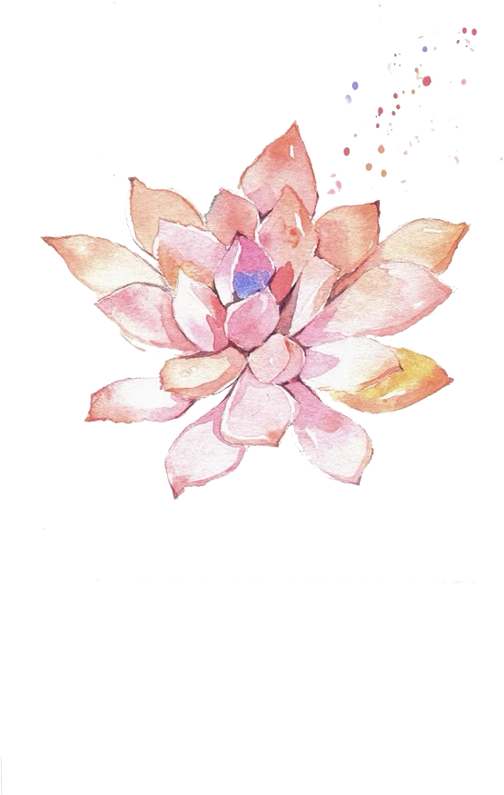 Real Flowers Png - Sacred Lotus (600x878), Png Download