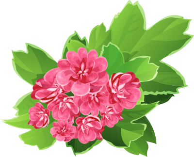 Real Floral Bouquets Clipart - Pink Flower Bouquet Clip Art (400x324), Png Download