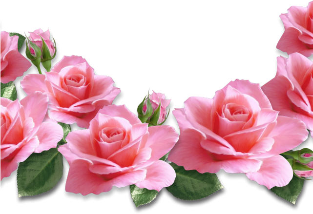 Pink Flower Clipart Real Rose - Pink Rose Clipart Png (640x480), Png Download