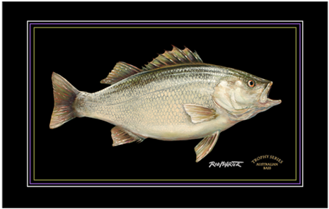 Work Of Art (774x300), Png Download