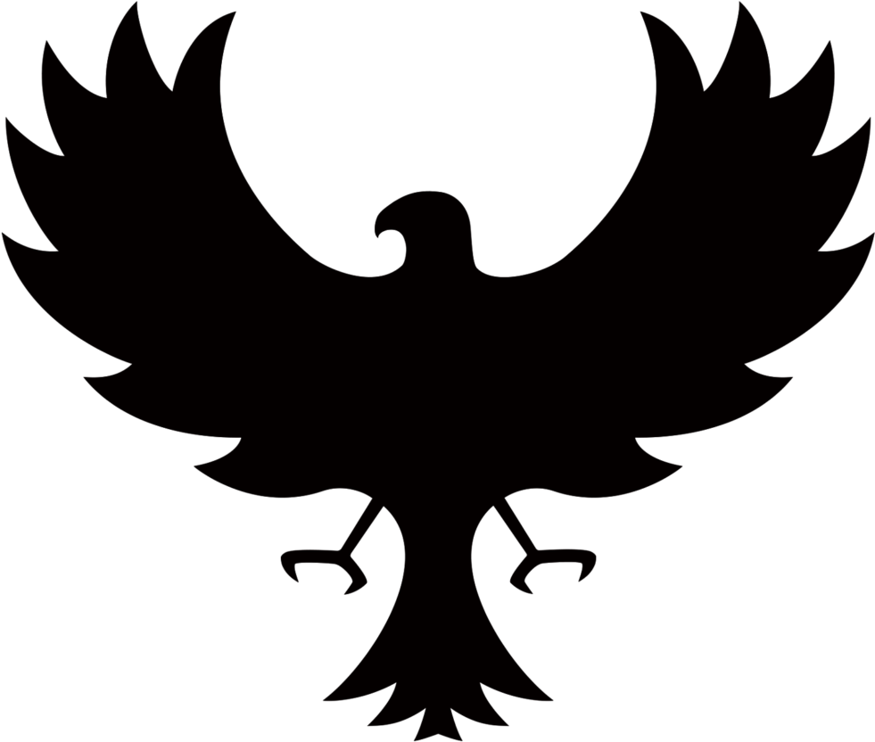 Falcon Png Image - Black Falcon Png (1024x873), Png Download