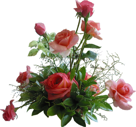 Download Rose Red Flower Fleur D Amour 17 Png Image With No Background Pngkey Com Download Rose Red Flower Fleur D Amour 17 Png Image With No Background Pngkey Com