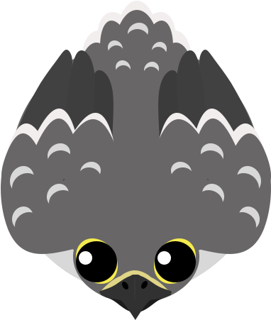 Falcon - Mope Io Falcon Skins (500x500), Png Download