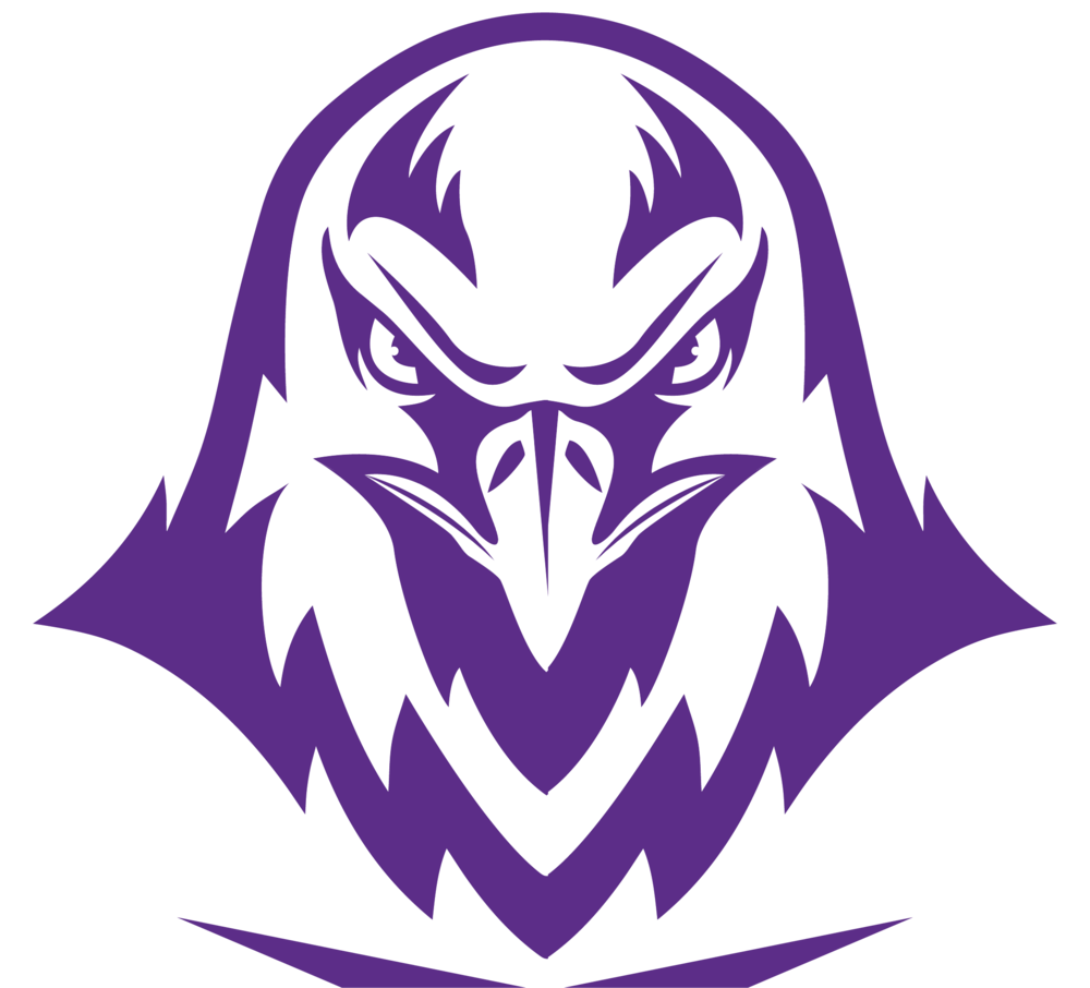 Falcon 4 (1000x906), Png Download