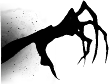 Download Shadow Black Scary Horror - Creepy Shadow Hand PNG Image with