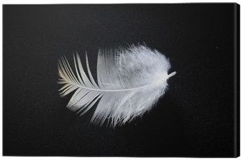 Poster (400x400), Png Download