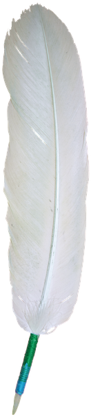 Bird (284x640), Png Download