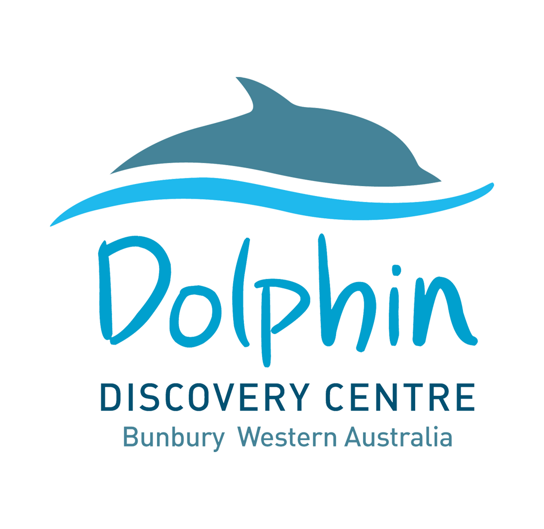 Dolphin Discovery Centre (1080x1052), Png Download