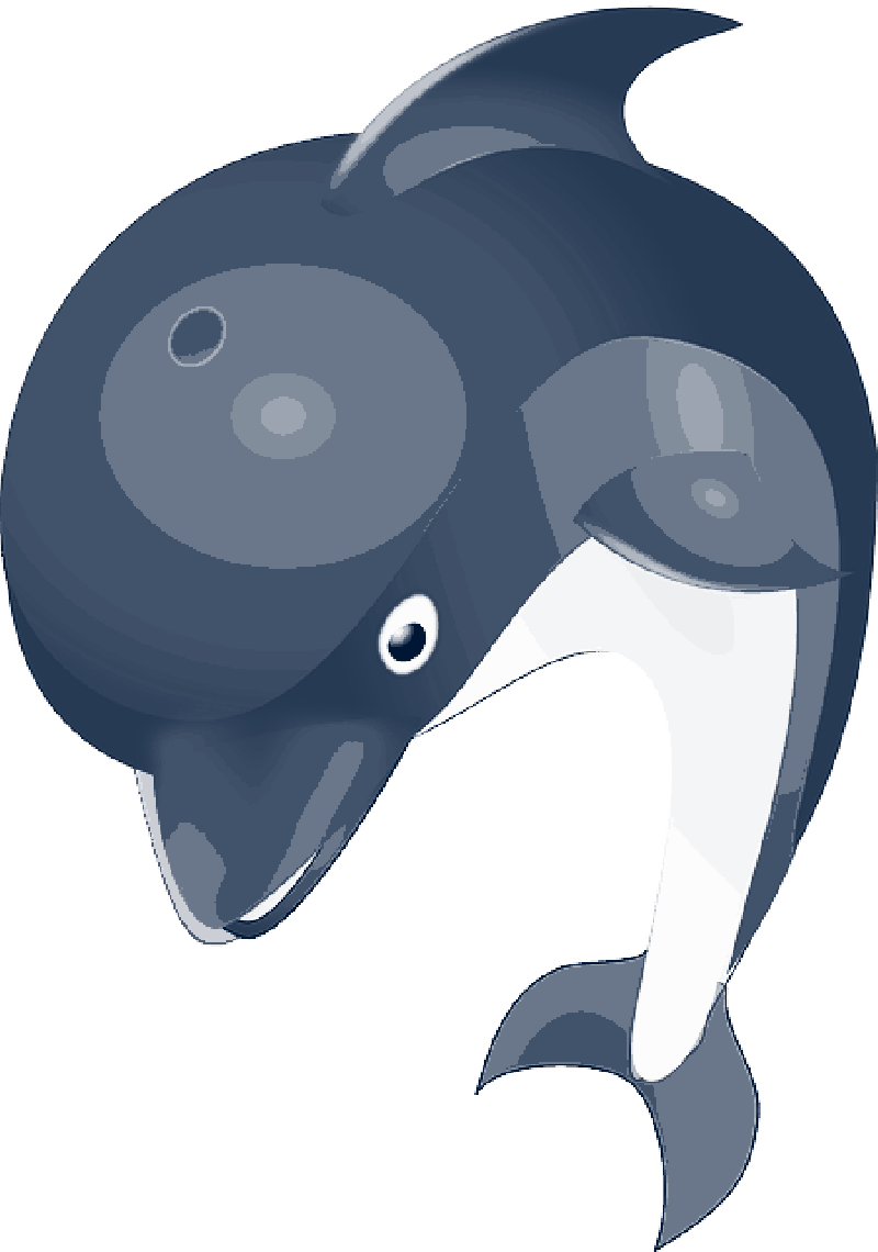 Cartoon, Dolphin, Ocean, Logo, Jan, - Lumba Lumba Kartun Png (800x1140), Png Download