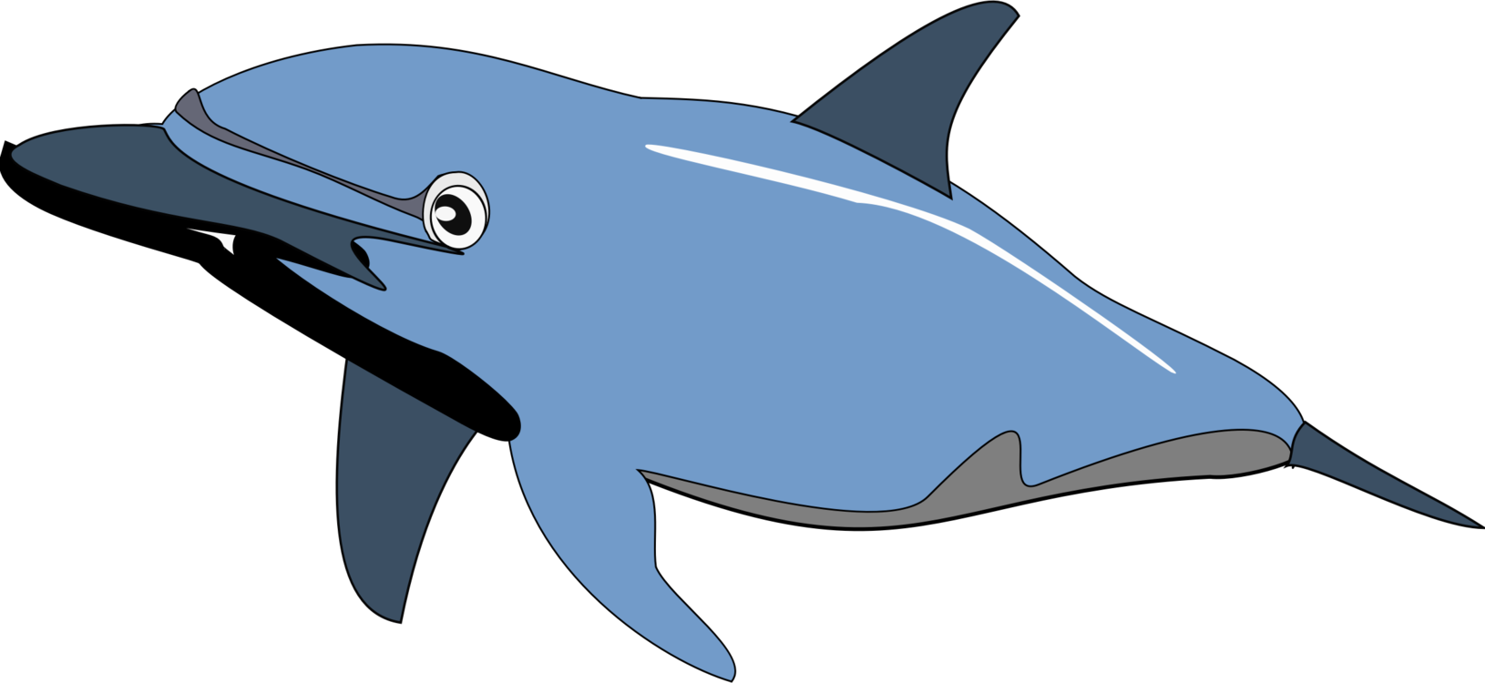 Common Bottlenose Dolphin Drawing Cetacea - Dolphin Clip Art (1630x750), Png Download