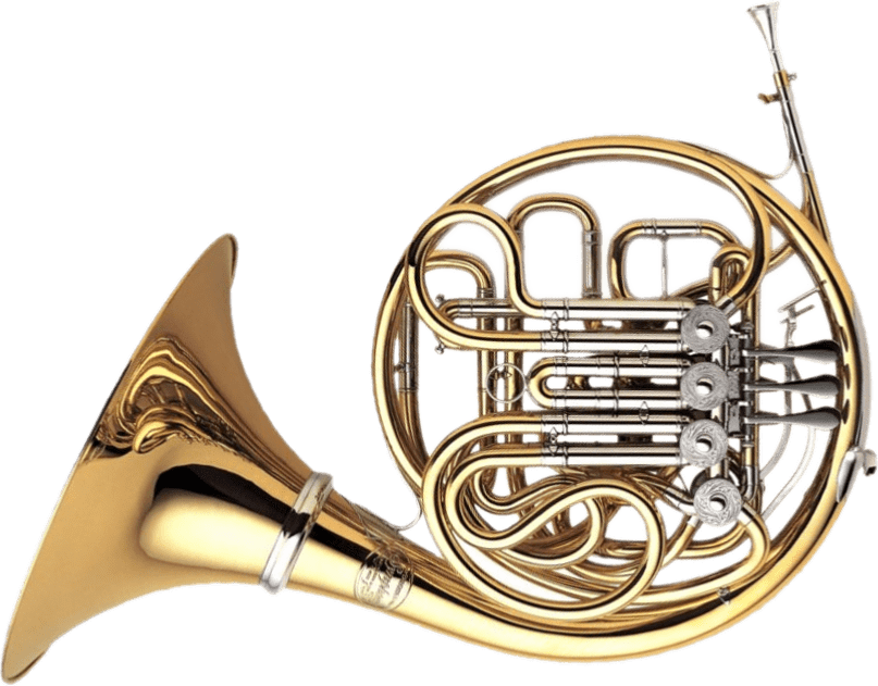 Download - French Horn (807x631), Png Download