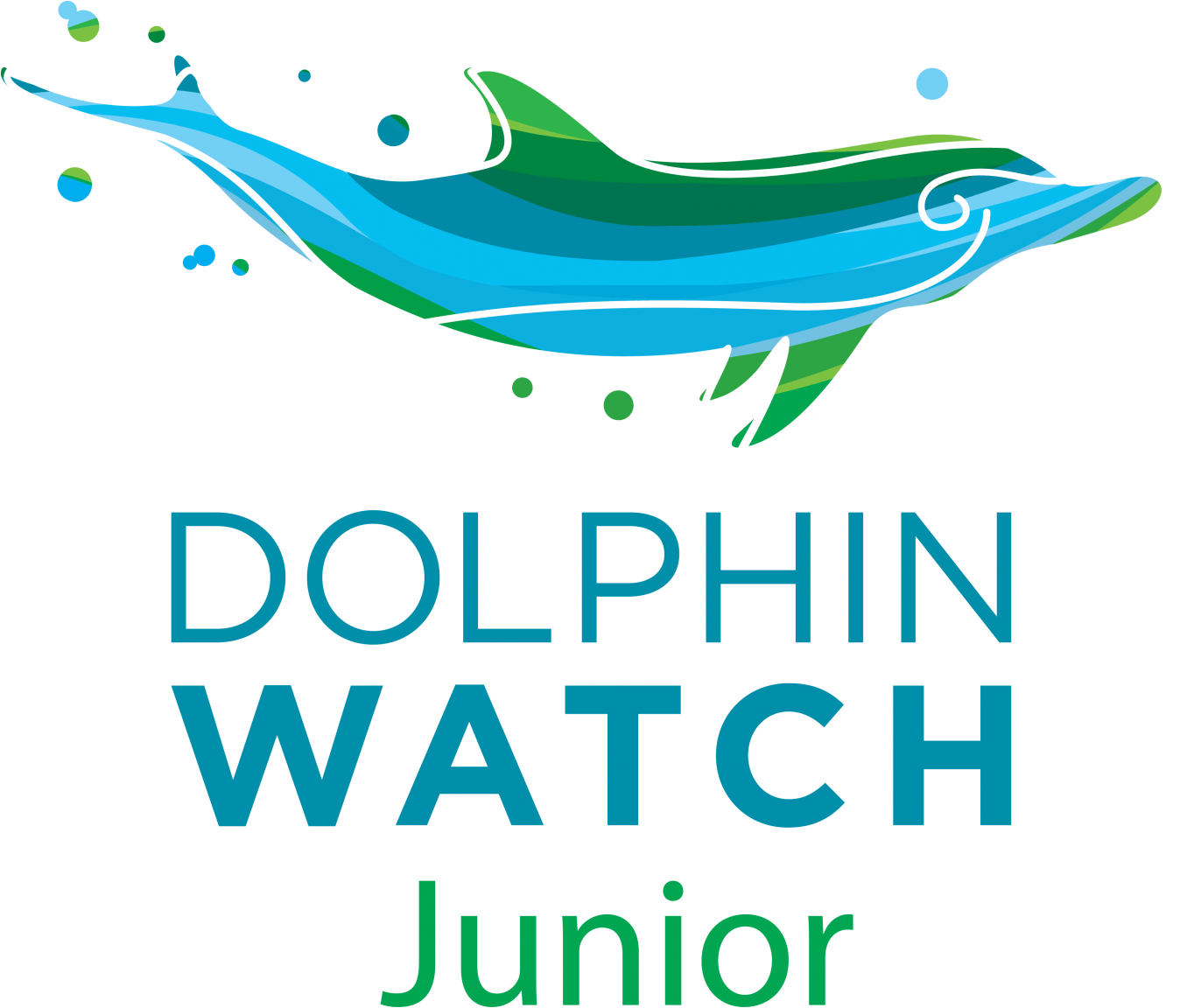 Junior Dolphin Watch - Thanks For Watching Any Questions (1355x1200), Png Download