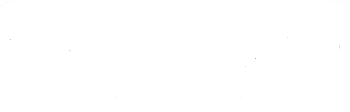 Mississauga Dolphins - Mississauga (720x231), Png Download