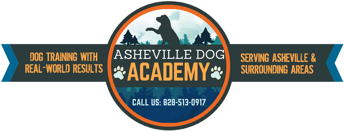 Asheville Dog Academy - Asheville Dog Academy Llc (1200x480), Png Download