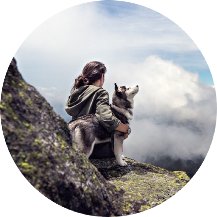Training A Dog Can Be Hard, Annoying, And Frustrating - Travel With Dog In Mountain (800x757), Png Download