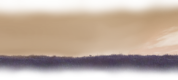 Tenus - Painting (600x272), Png Download