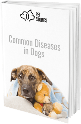 Dog Diseases Ebook - Dog (300x437), Png Download