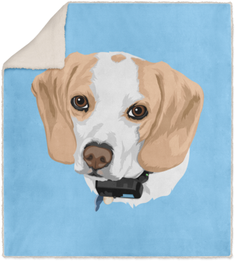 Sale Custom Your-pet Sherpa Blanket - Blanket (480x480), Png Download