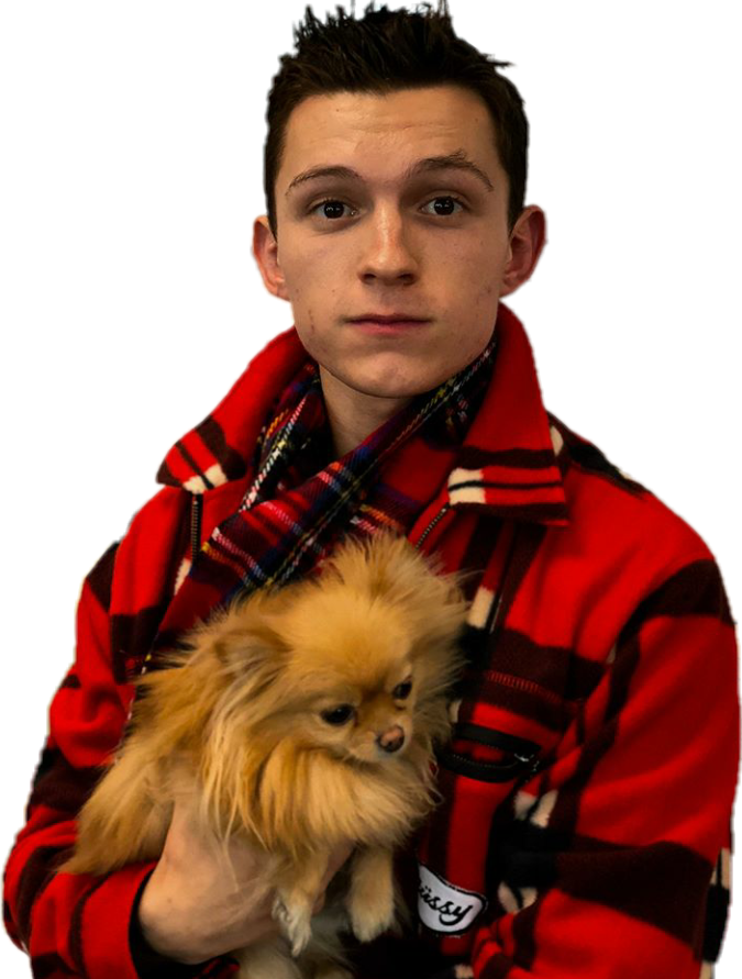Report Abuse - Tom Holland And Dog (675x891), Png Download