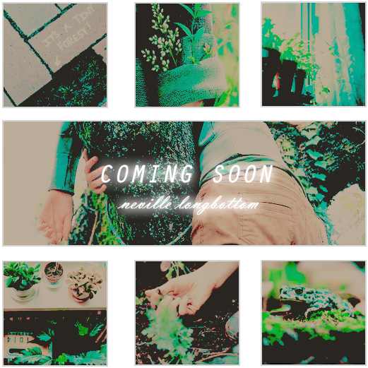 Mumu Rp Hp Rp Canon Rp Neville Longbottom Rp Tom Holland - Tree (550x550), Png Download