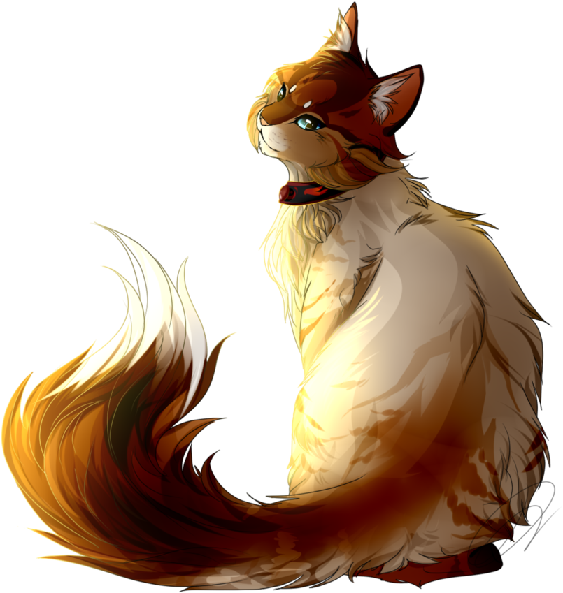 Razor Drawing Beautiful - Warrior Cats Book Titles (894x894), Png Download