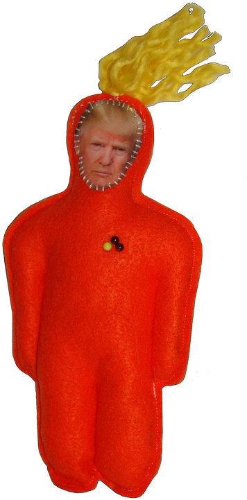 Donald Trump (569x800), Png Download