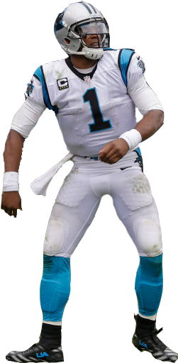 Personcam Newton And Referee Ed Hochuli Arguing Over - Cam Newton Cut Out (300x564), Png Download