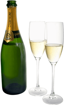 Champagne Two Glasses Bottle - Osabo | Cat Wine Stopper | Cat Lovers | Funny (400x400), Png Download