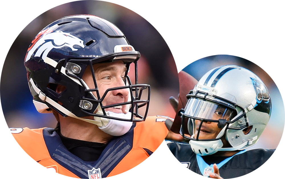 Newton - Face Mask (1000x630), Png Download