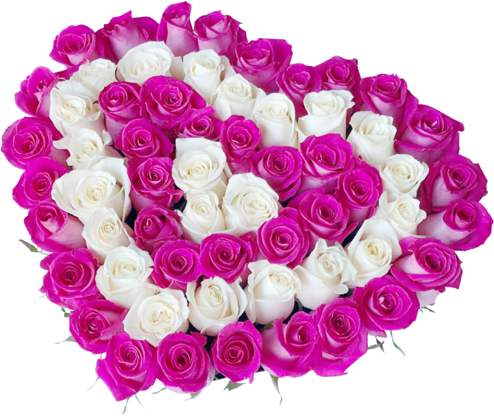 Heart Shape- Fresh Cut Roses - Rose (720x720), Png Download