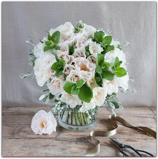 Jilly, Trade Sales - Garden Roses (730x662), Png Download