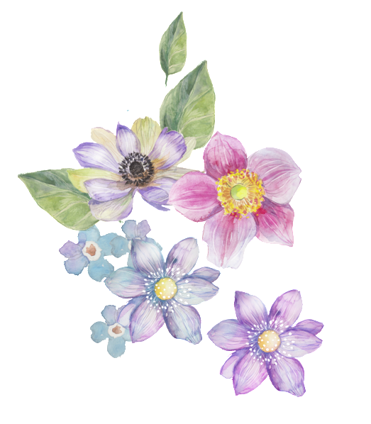 Four Color Flower Transparent Decorative - Flower (1024x921), Png Download