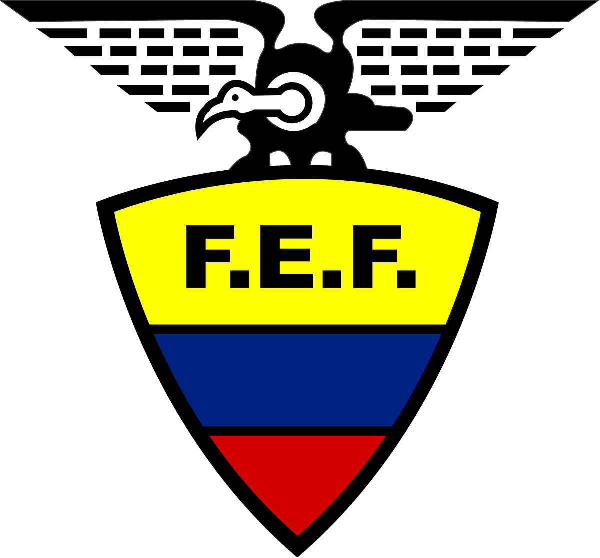Federacion Ecuatoriana De Futbol Png (1200x1116), Png Download