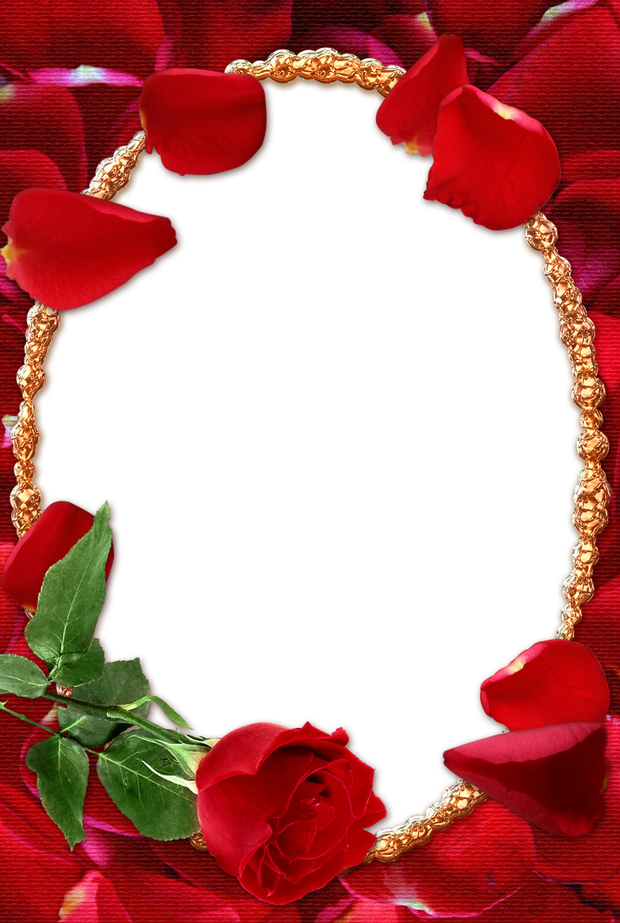 Rose Photo Frame Png (1205x1795), Png Download