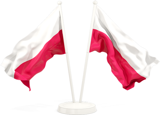 De Om N Ecuador - Russian Flag Waving Png (640x480), Png Download