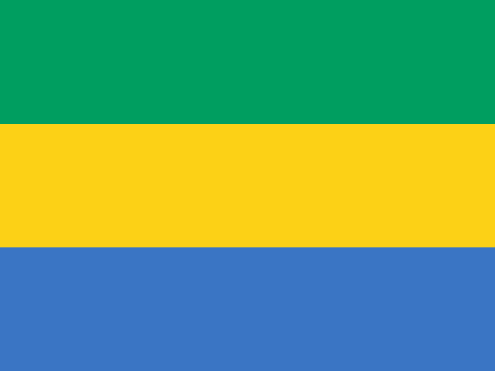 Download Svg Download Png - Gabon Flaga (1024x1024), Png Download