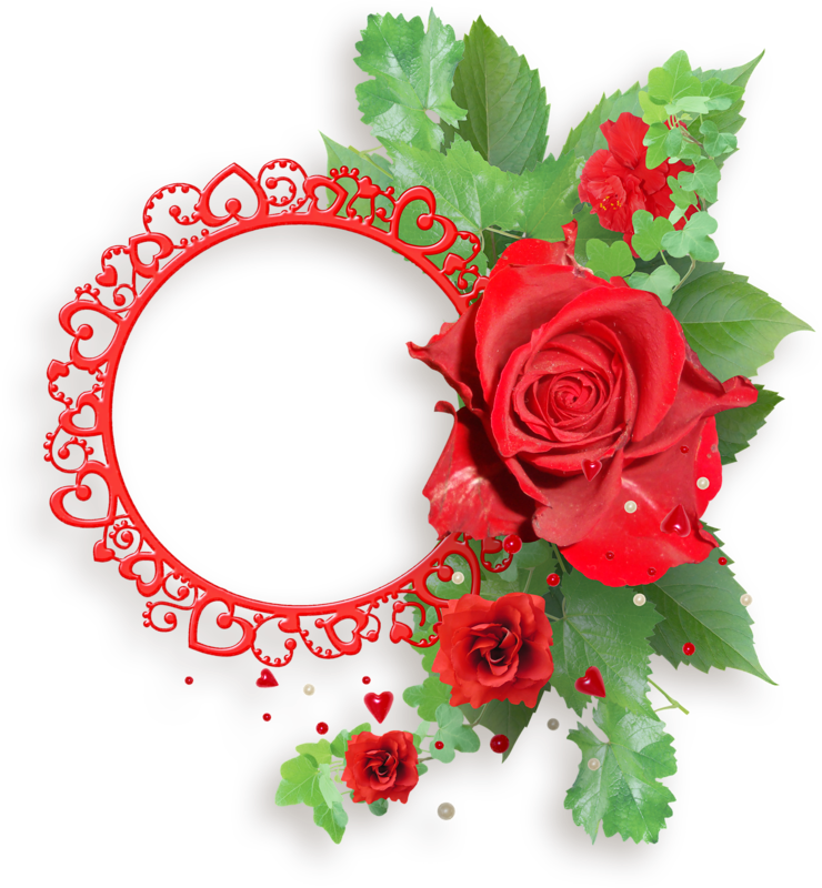 Red Roses Frames - Transparent Red Rose Png Frame (740x800), Png Download